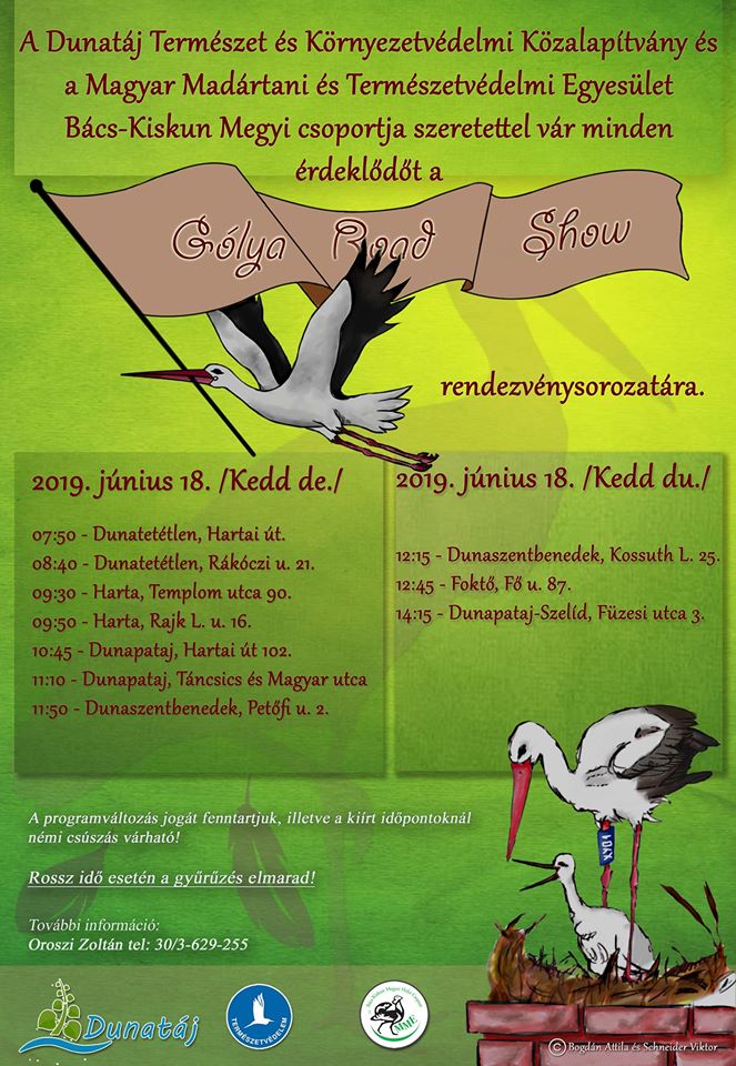Gólya Road Show